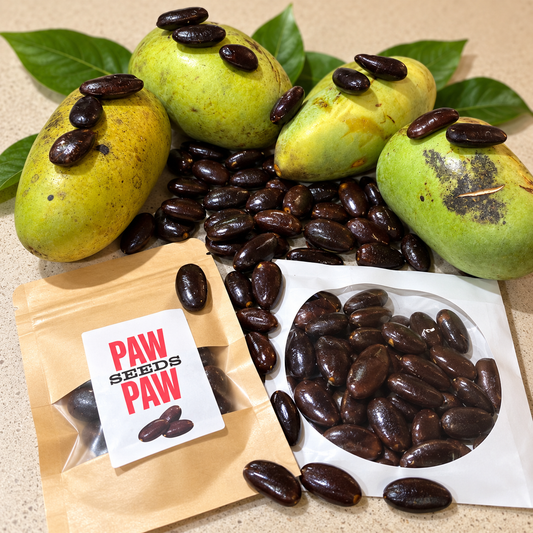 Sweet Paw Paw Seeds for Limited time