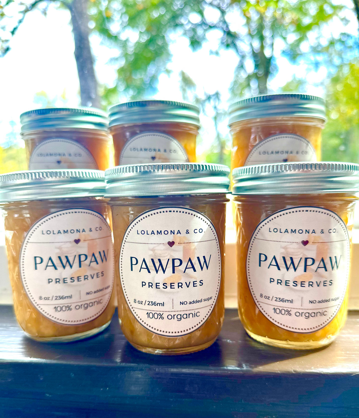 2026 PRE-ORDER SEASON Organic Paw Paw Fruit Preserves: Limited Edition Exotic Jam