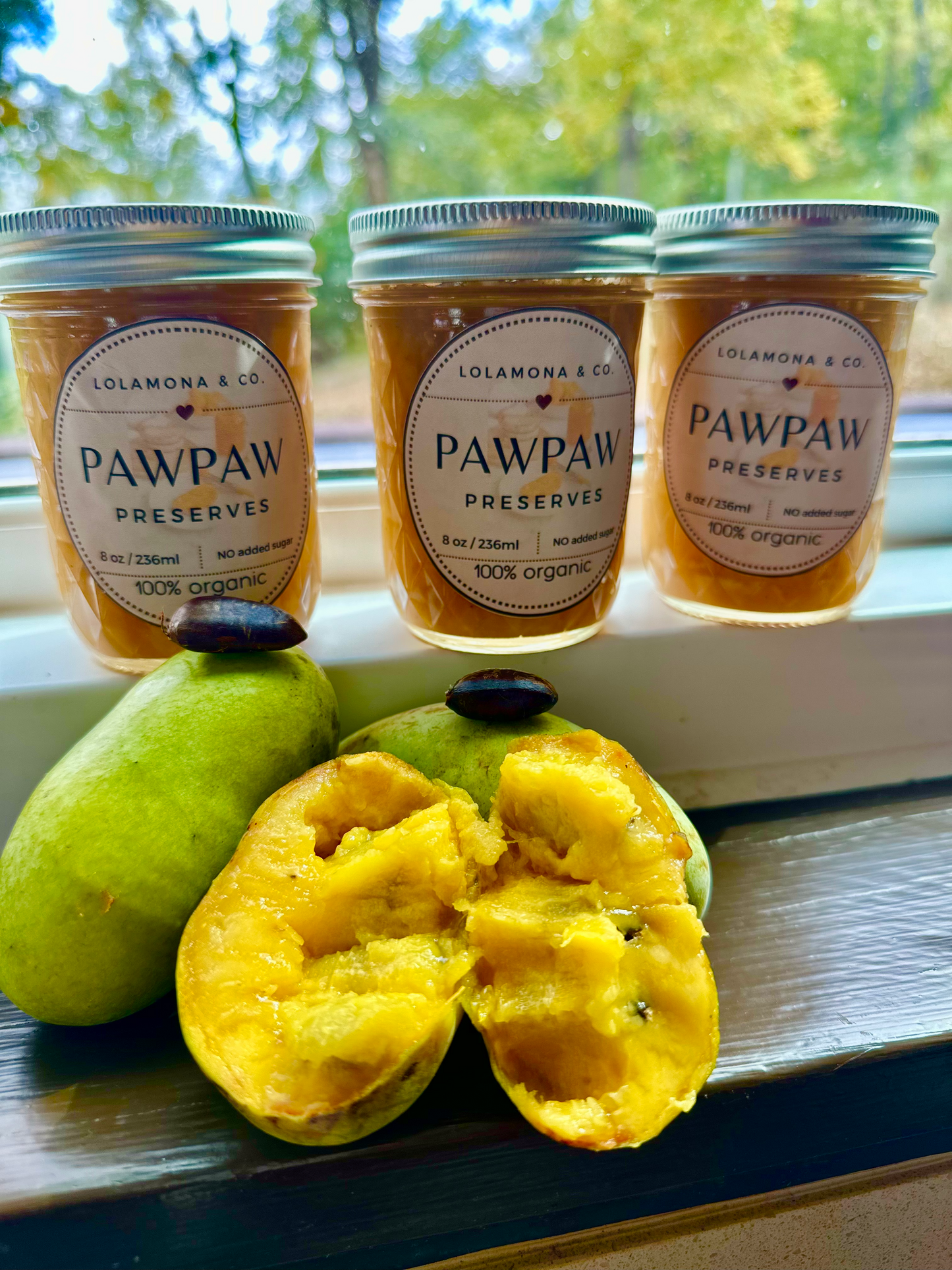 2026 PRE-ORDER SEASON Organic Paw Paw Fruit Preserves: Limited Edition Exotic Jam