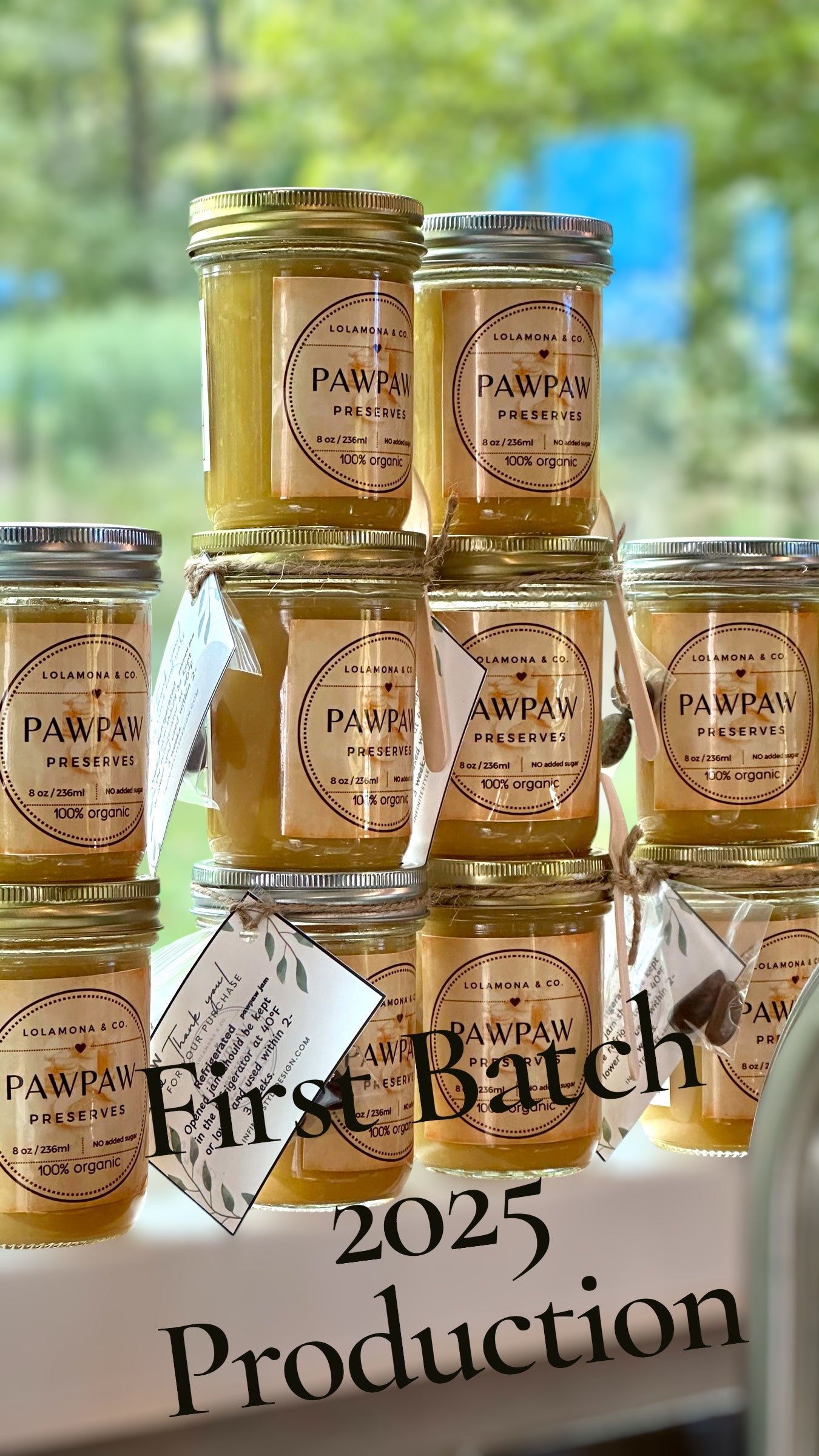 2026 PRE-ORDER SEASON Organic Paw Paw Fruit Preserves: Limited Edition Exotic Jam